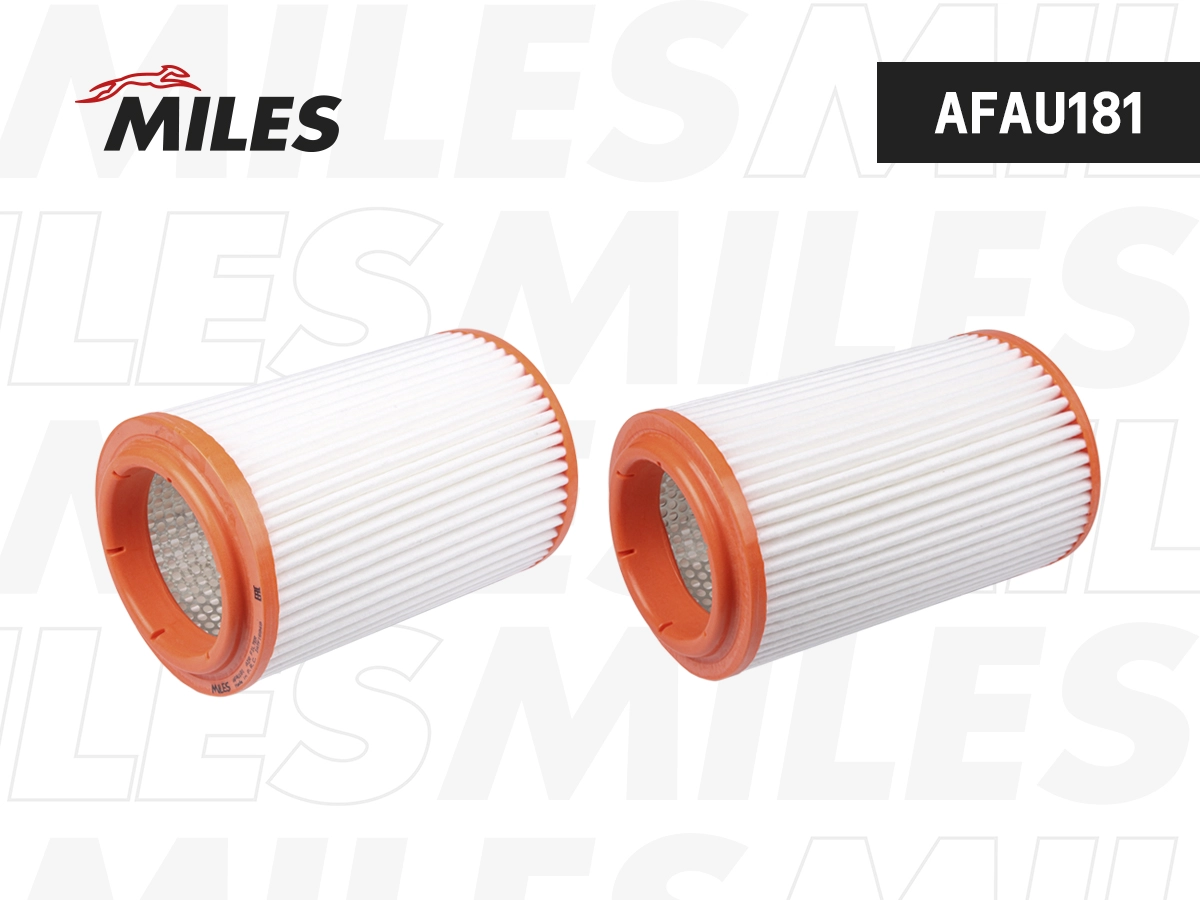 Filtre à air MILES AFAU181