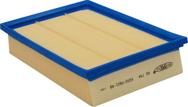 Filtre à air GOODWILL AG 794