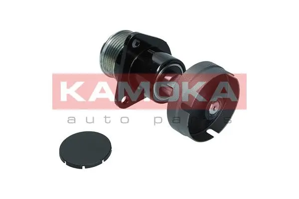 Poulie roue libre, alternateur KAMOKA RC093