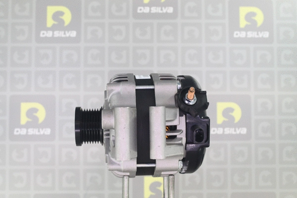 Alternateur DA SILVA 011829
