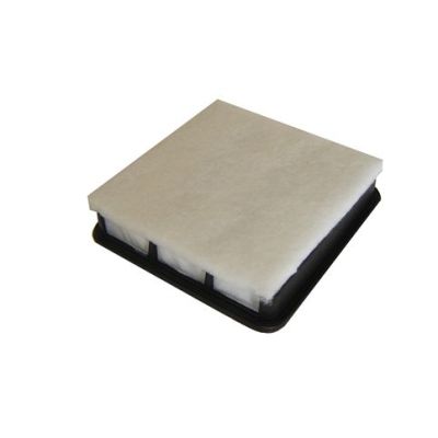 Filtre à air FI.BA FA-316