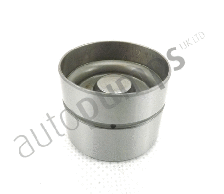Poussoir de soupape Autopumps UK AHL121