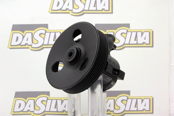 Pompe hydraulique, direction DA SILVA DP3186