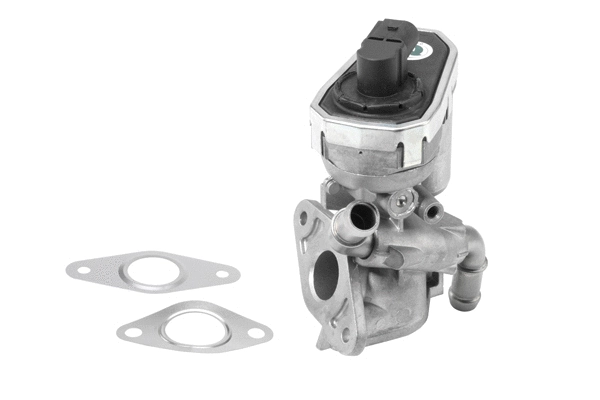 Vanne EGR BorgWarner 710941R