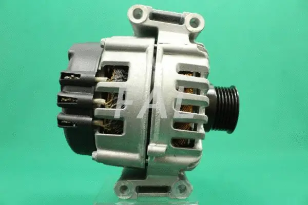 Alternateur FAL Anlasser- und Lichtmaschinenservice F013888/1