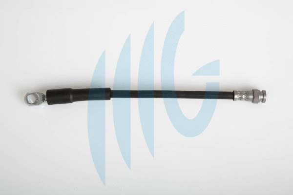 Flexible de frein RICAMBIFLEX GM 02120154