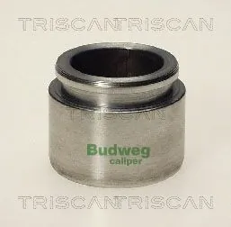 Piston, étrier de frein TRISCAN 8170 233825