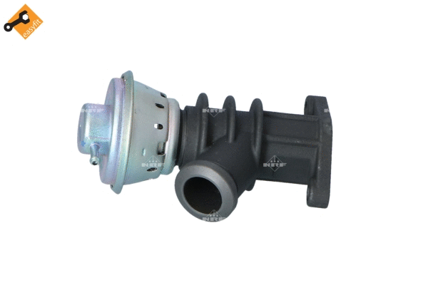 Vanne EGR WILMINK GROUP WG2161859