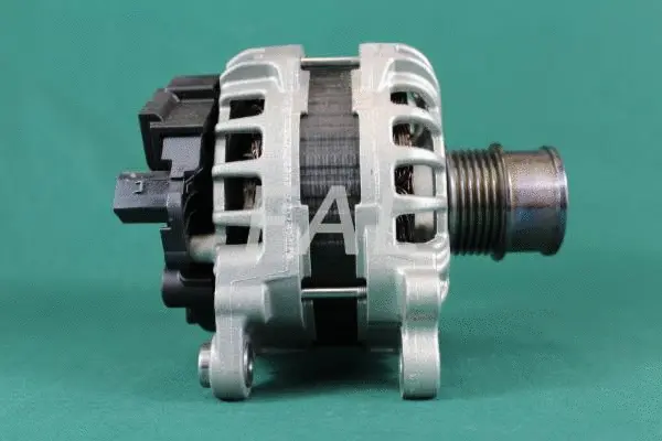 Alternateur FAL Anlasser- und Lichtmaschinenservice F013386/1