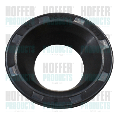 Kit de réparation, injecteur HOFFER 98522