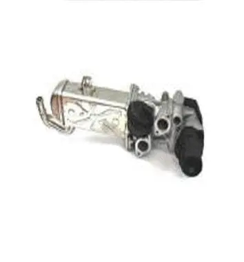 Vanne EGR ASSO 70.0001