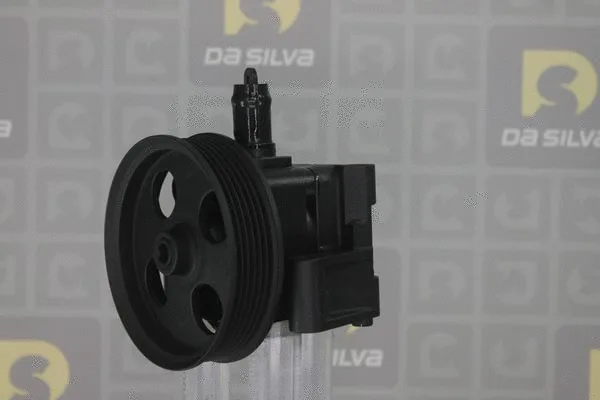 Pompe hydraulique, direction DA SILVA DP3369