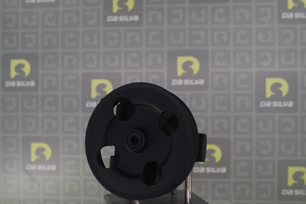 Pompe hydraulique, direction DA SILVA DP3563