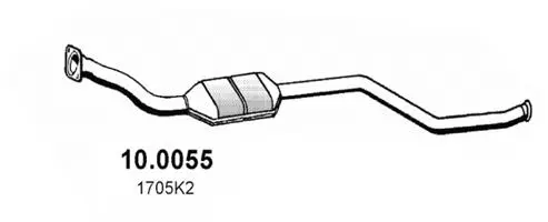 Catalyseur ASSO 10.0055