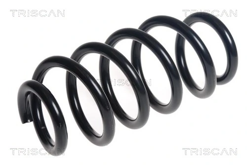 Ressort de suspension TRISCAN 8750 13242