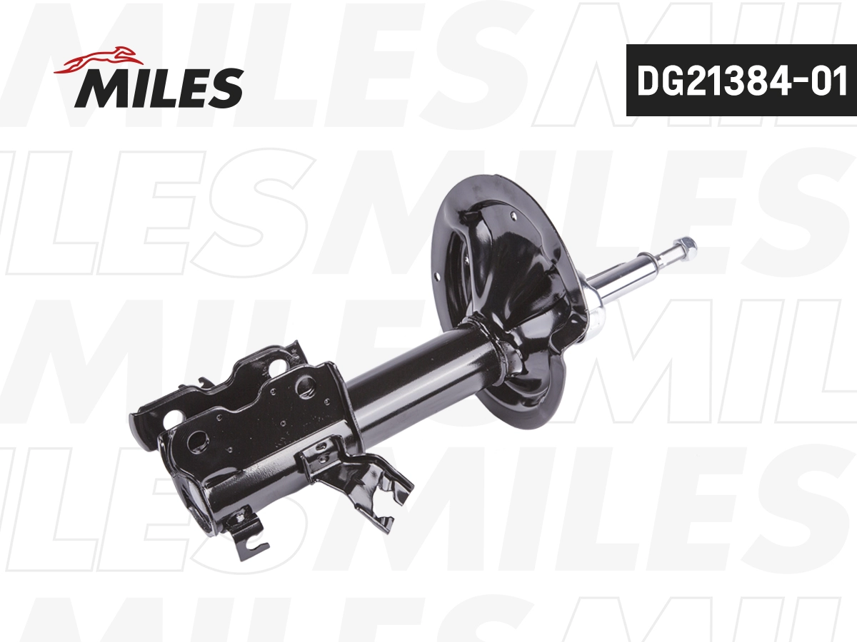 Amortisseur MILES DG21384-01