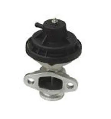 Vanne EGR ASSO 70.0034