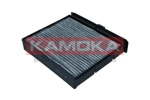 Filtre, air de l'habitacle KAMOKA F520201
