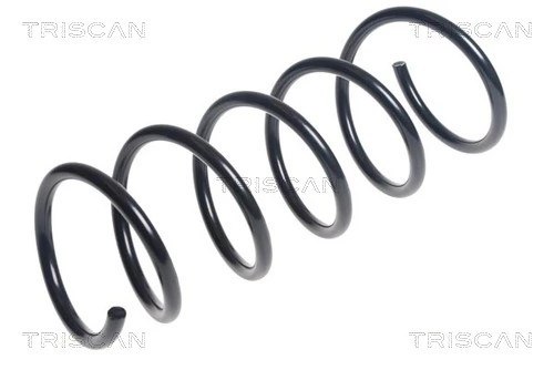 Ressort de suspension TRISCAN 8750 25110