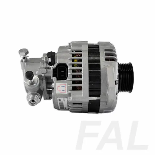 Alternateur FAL Anlasser- und Lichtmaschinenservice F003052/1
