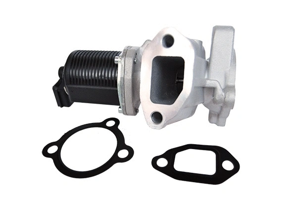 Vanne EGR ASAM AUTOMOTIVE 74185