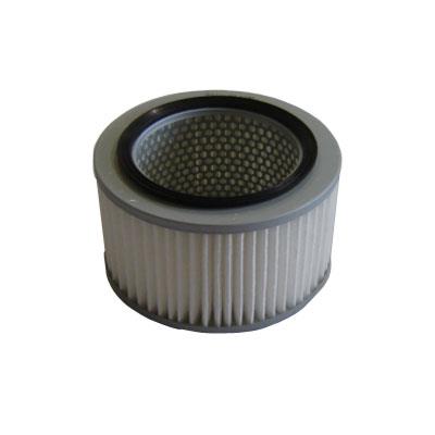 Filtre à air FI.BA FA-495