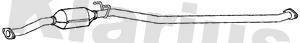 Catalyseur KLARIUS 311699