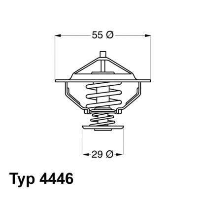 Thermostat, liquide de refroidissement BorgWarner (Wahler) 4446.83D