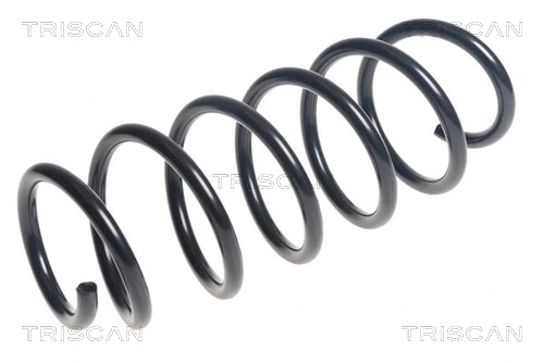 Ressort de suspension TRISCAN 8750 27107
