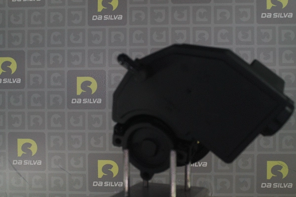 Pompe hydraulique, direction DA SILVA DP3517