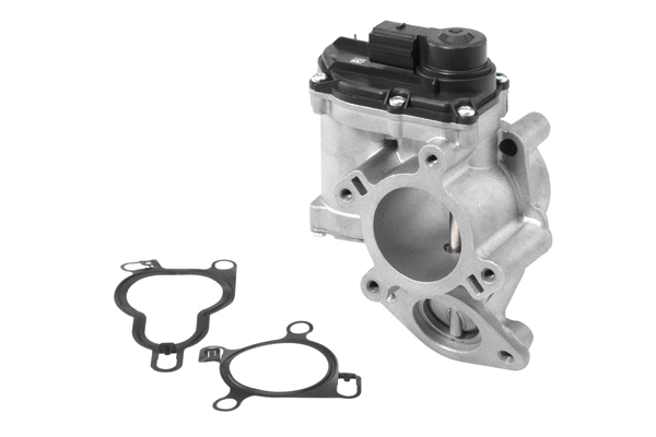 Vanne EGR BorgWarner 710939R