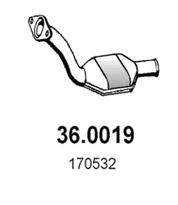 Catalyseur ASSO 36.0019
