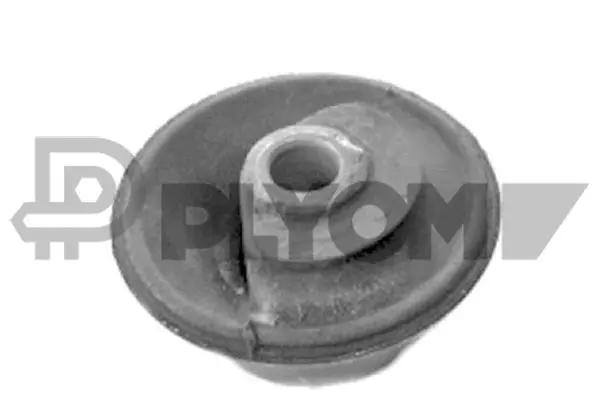 Suspension, corps de l'essieu PLYOM P750703