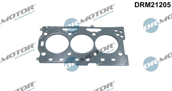 Joint, culasse LIZARTE DRM21205