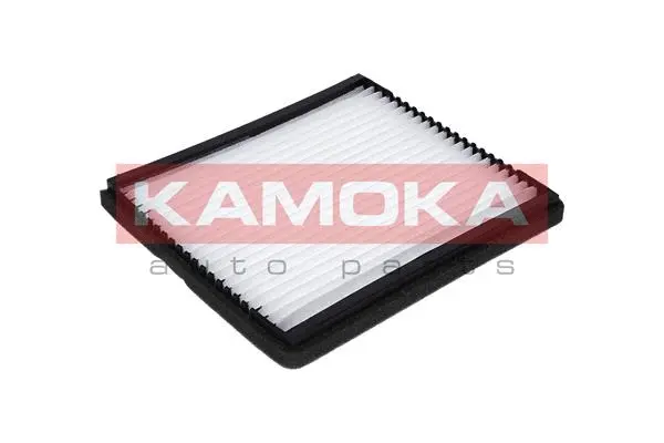 Filtre, air de l'habitacle KAMOKA F405301