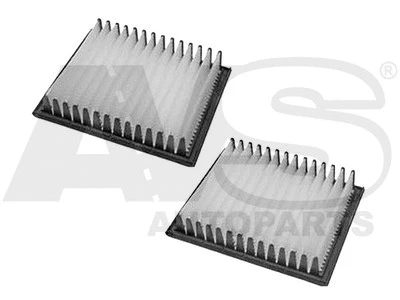 Filtre, air de l'habitacle AVS AUTOPARTS HBA013