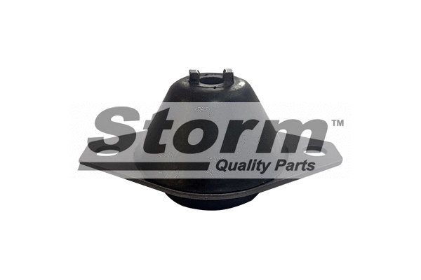 Suspension, boîte de vitesse manuelle STORM QUALITY PARTS F2004