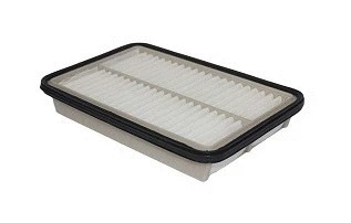 Filtre à air ACDelco Oceania ACA310