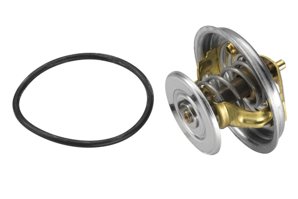 Thermostat, liquide de refroidissement BorgWarner (Wahler) 4078.87D