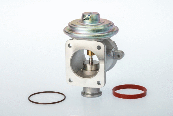 Vanne EGR BorgWarner 710924D