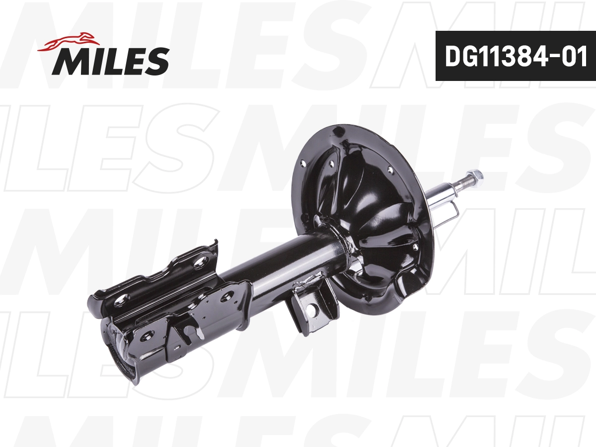 Amortisseur MILES DG11384-01
