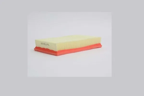 Filtre à air STEP FILTERS AE180