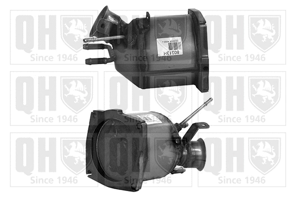 Catalyseur QUINTON HAZELL QCAT80313H