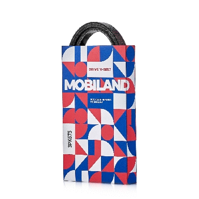 Courroie trapézoïdale à nervures MOBILAND 501230675