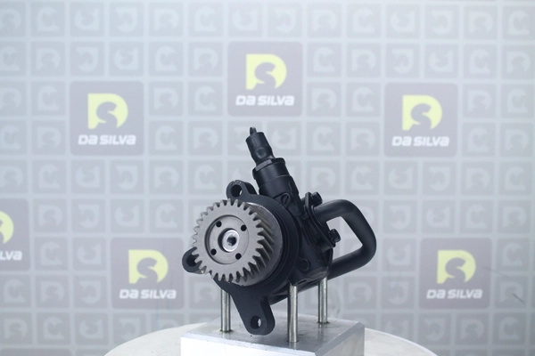 Pompe hydraulique, direction DA SILVA DP3698