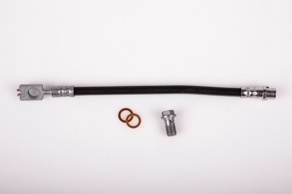 Flexible de frein RICAMBIFLEX GM 02020159