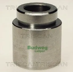 Piston, étrier de frein TRISCAN 8170 234519