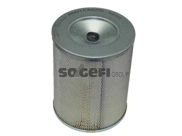 Filtre à air FRAM CA4255