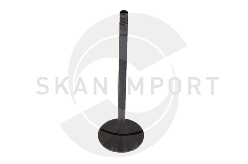Soupape d'admission SKANIMPORT 44-6095