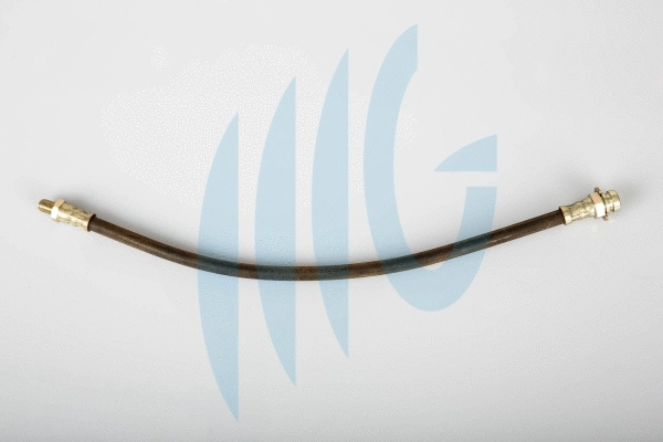 Flexible de frein RICAMBIFLEX GM 02560986